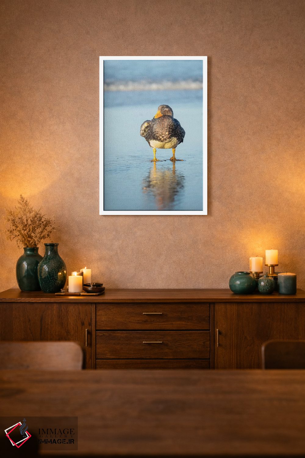 تابلو دکوراتیو Female A Greenish Beak, Falkland Islands.,اردک بی پرواز فال… اثر مارتین زویک - D1W