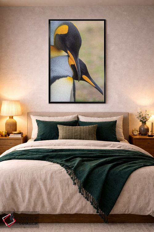 تابلو دکوراتیو نمایش خواستگاری پنگوئن شاه در جزایر فالکلند اثر مارتین زویک - D4B