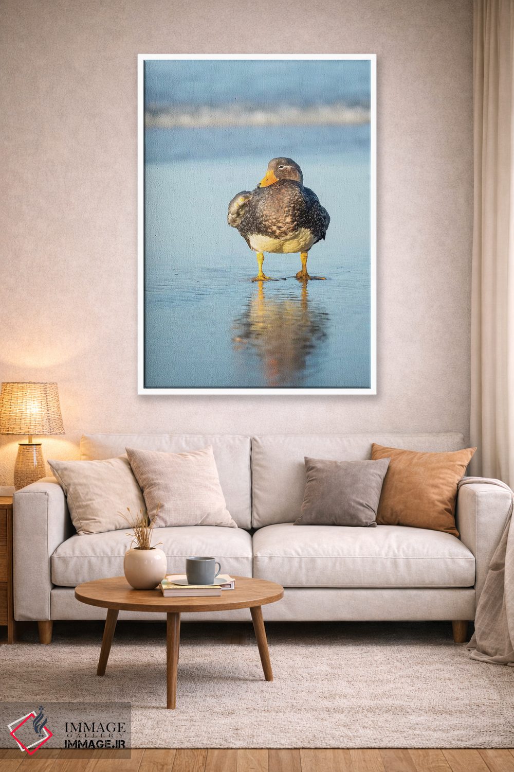 تابلو دکوراتیو Female A Greenish Beak, Falkland Islands.,اردک بی پرواز فال… اثر مارتین زویک - D3W