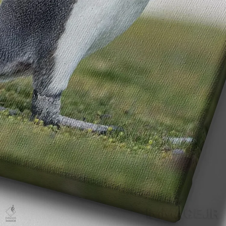 تابلو دکوراتیو پنگوئن شاه در جزایر فالکلند اثر مارتین زویک - نمای نزدیک بافت بوم