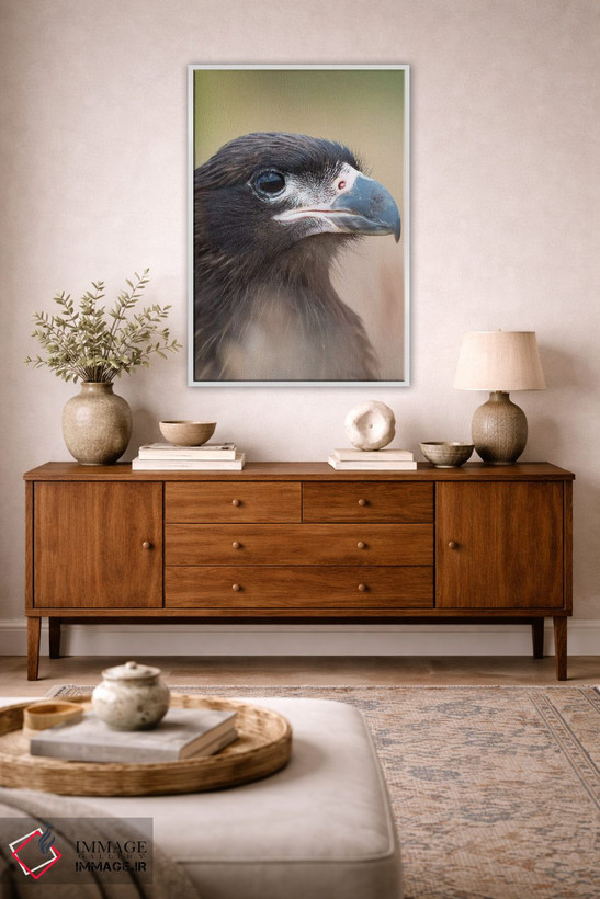 تابلو دکوراتیو Protected, Endemic To The Falkland Islands.,جوجه با پوست رو… اثر مارتین زویک - D2W