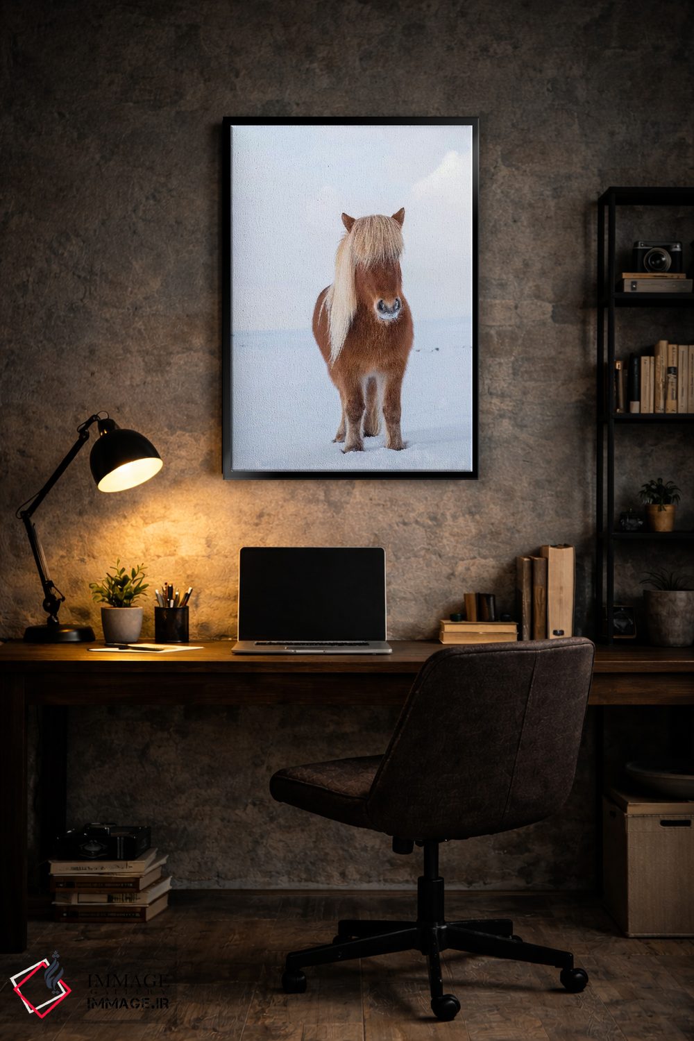 تابلو دکوراتیو Iceland,اسب سنتی ایسلندی در برف تازه، ایسلند اثر مارتین زویک - D6B