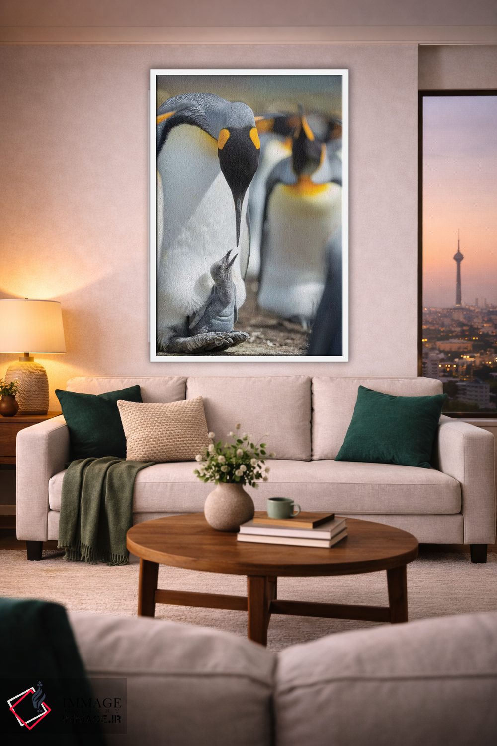 تابلو دکوراتیو Falkland Islands.,جوجه پنگوئن شاه در حال درخواست غذا در حال… اثر مارتین زویک - D1W