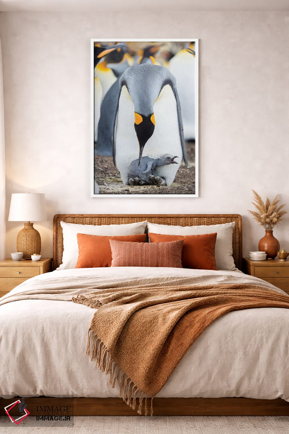 تابلو دکوراتیو Falkland Islands.,جوجه پنگوئن شاه در حال درخواست غذا در حال… اثر مارتین زویک - D3W