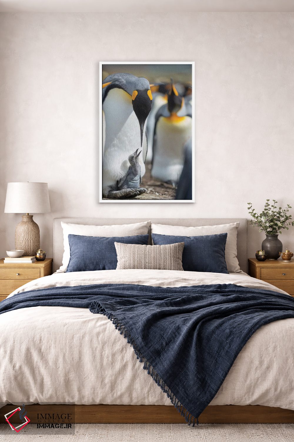 تابلو دکوراتیو Falkland Islands.,جوجه پنگوئن شاه در حال درخواست غذا در حال… اثر مارتین زویک - D3W