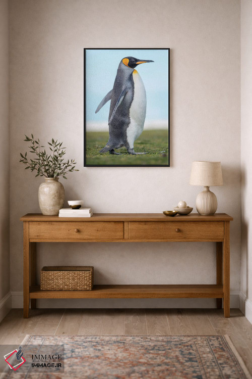 تابلو دکوراتیو پنگوئن شاه در جزایر فالکلند اثر مارتین زویک - D2B