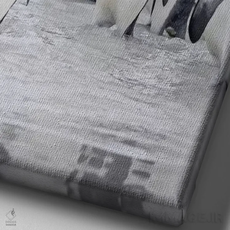 تابلو دکوراتیو پنگوئن شاه در جزایر فالکلند اثر مارتین زویک - نمای نزدیک بافت بوم