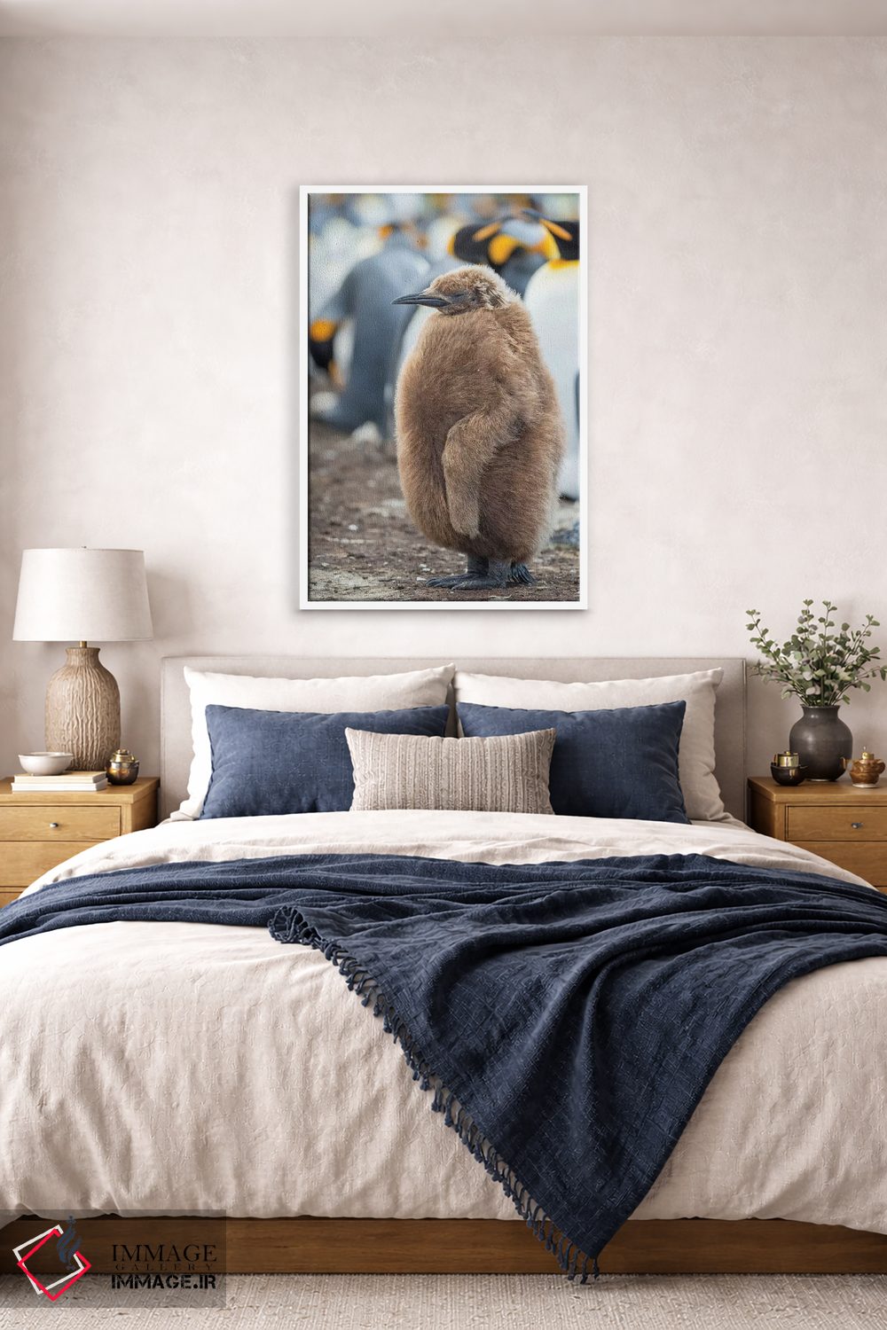 تابلو دکوراتیو Falkland Islands.,جوجه پنگوئن شاه با پرهای قهوه ای، جزایر ف… اثر مارتین زویک - D4W