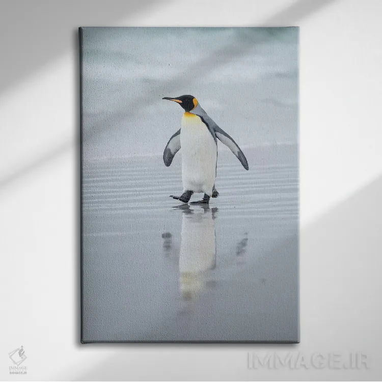 تابلو دکوراتیو پنگوئن شاه در جزایر فالکلند اثر مارتین زویک - نمای روبهرو روی دیوار