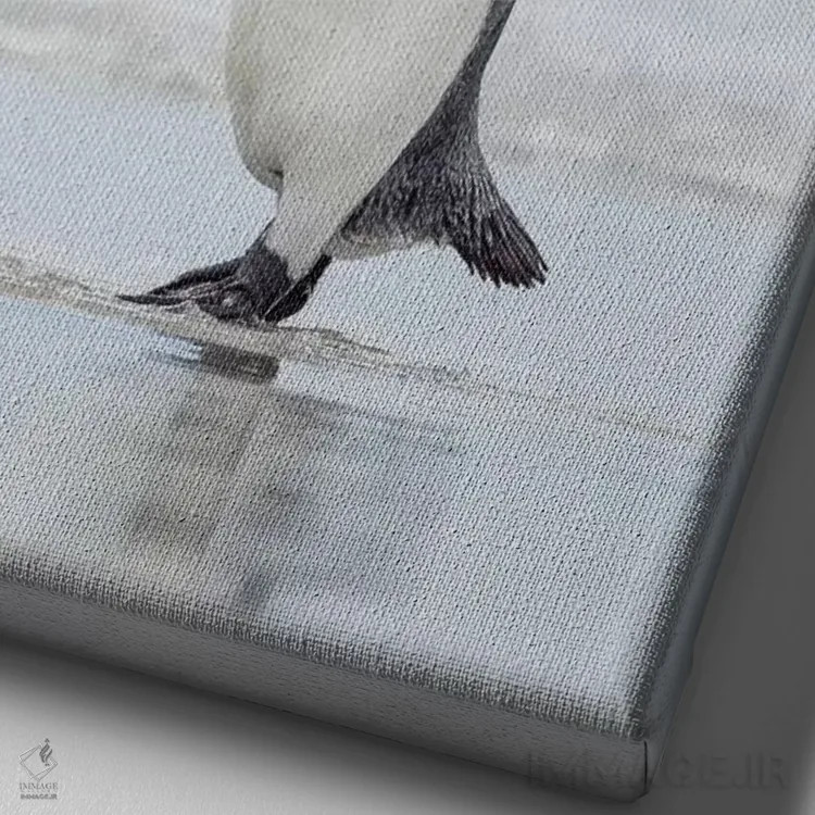 تابلو دکوراتیو پنگوئن شاه در جزایر فالکلند اثر مارتین زویک - نمای نزدیک بافت بوم