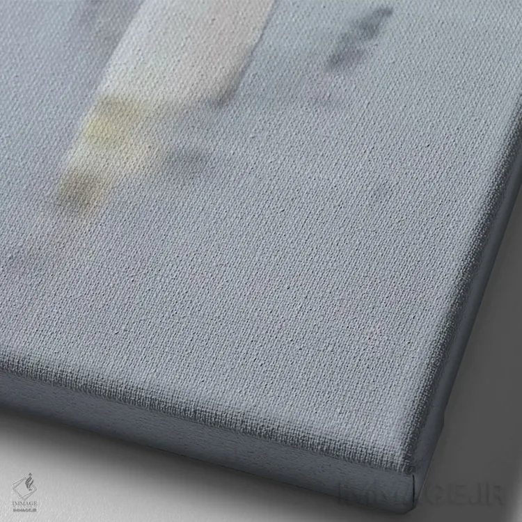 تابلو دکوراتیو پنگوئن شاه در جزایر فالکلند اثر مارتین زویک - نمای نزدیک بافت بوم