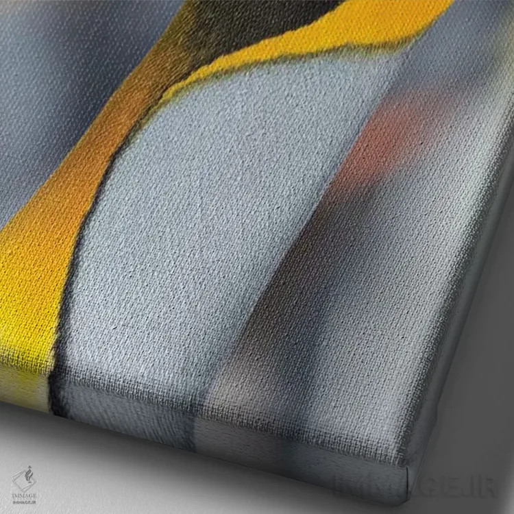 تابلو دکوراتیو Falkland Islands.,پنگوئن شاه، جزایر فالکلند اثر مارتین زویک - نمای نزدیک بافت بوم