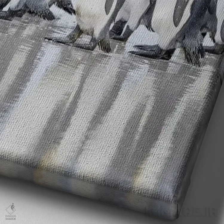 تابلو دکوراتیو پنگوئن شاه در جزایر فالکلند اثر مارتین زویک - نمای نزدیک بافت بوم