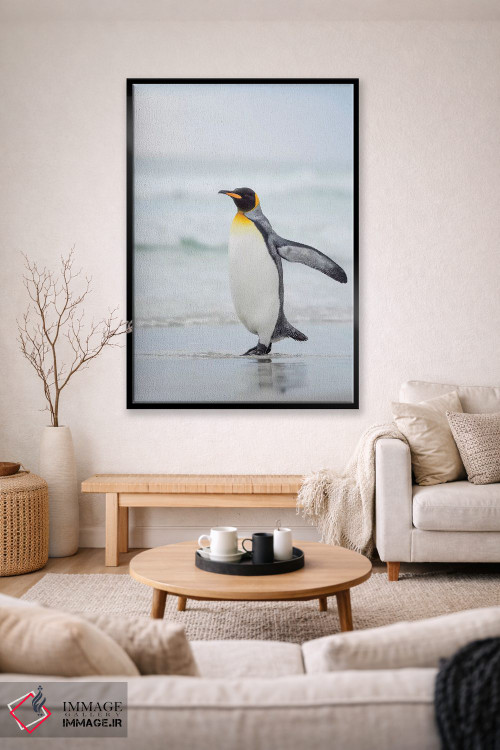 تابلو دکوراتیو پنگوئن شاه در جزایر فالکلند اثر مارتین زویک - D2B
