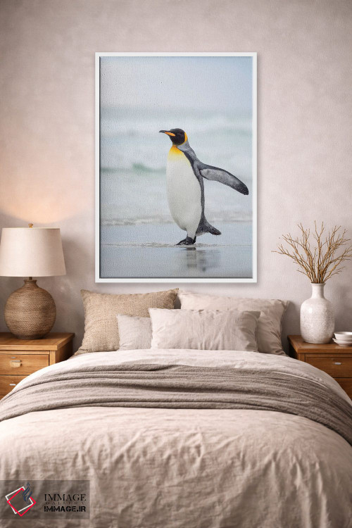 تابلو دکوراتیو پنگوئن شاه در جزایر فالکلند اثر مارتین زویک - D1W