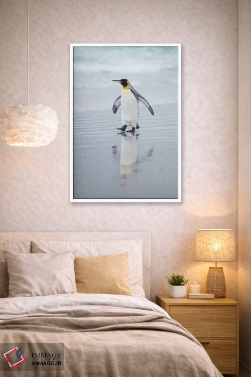 تابلو دکوراتیو پنگوئن شاه در جزایر فالکلند اثر مارتین زویک - D1W