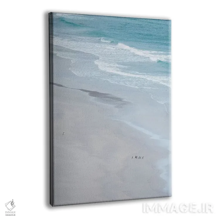 تابلو دکوراتیو Falkland Islands.,گروه پنگوئن های ماژلانی در ساحل خلوت، جزا… اثر مارتین زویک - نمای پرسپکتیو محصول