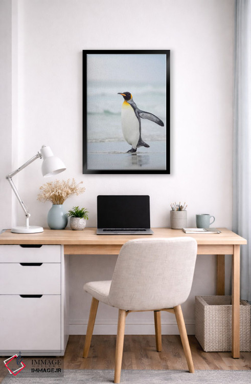 تابلو دکوراتیو پنگوئن شاه در جزایر فالکلند اثر مارتین زویک - D5B
