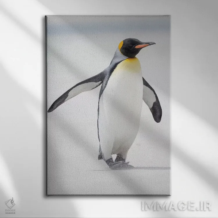 تابلو دکوراتیو Falkland Islands.,پنگوئن شاه، جزایر فالکلند اثر مارتین زویک - نمای روبهرو روی دیوار