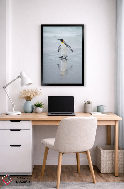 تابلو دکوراتیو پنگوئن شاه در جزایر فالکلند اثر مارتین زویک - D5B