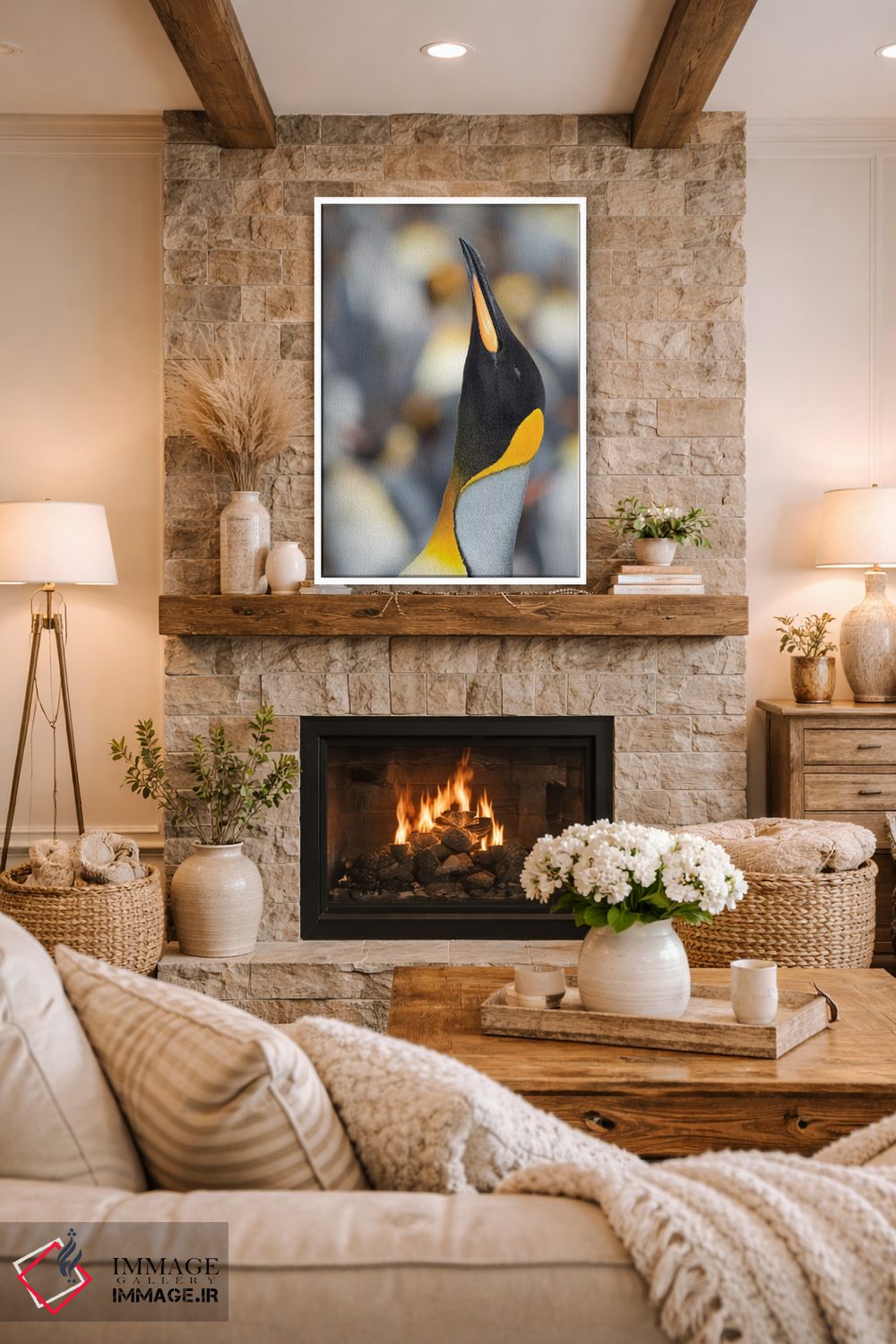 تابلو دکوراتیو Falkland Islands.,پنگوئن شاه، جزایر فالکلند اثر مارتین زویک - D1W