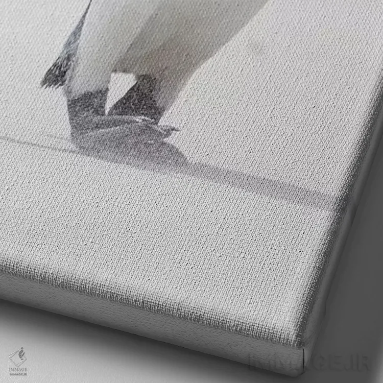 تابلو دکوراتیو Falkland Islands.,پنگوئن شاه، جزایر فالکلند اثر مارتین زویک - نمای نزدیک بافت بوم