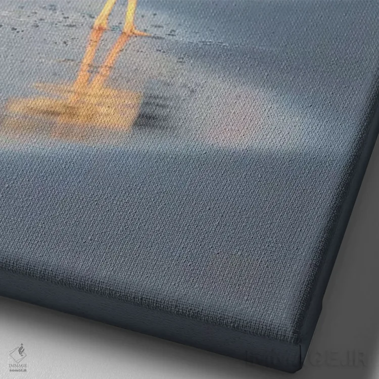 تابلو دکوراتیو Sea Lion Island, Falkland Islands.,صدف خوار ماژلانی، جزیره… اثر مارتین زویک - نمای نزدیک بافت بوم