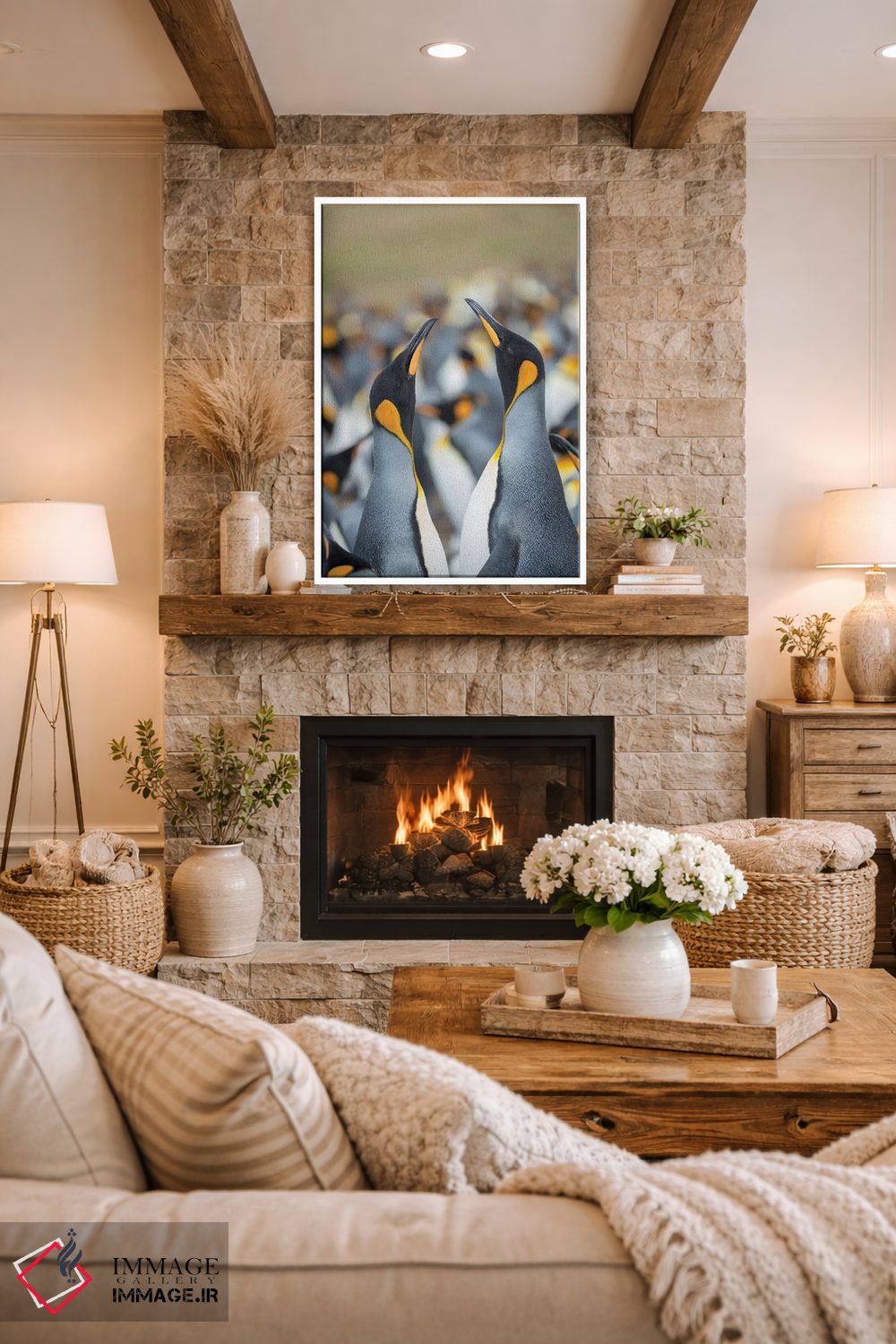 تابلو دکوراتیو Falkland Islands.,پنگوئن شاه، جزایر فالکلند اثر مارتین زویک - D1W