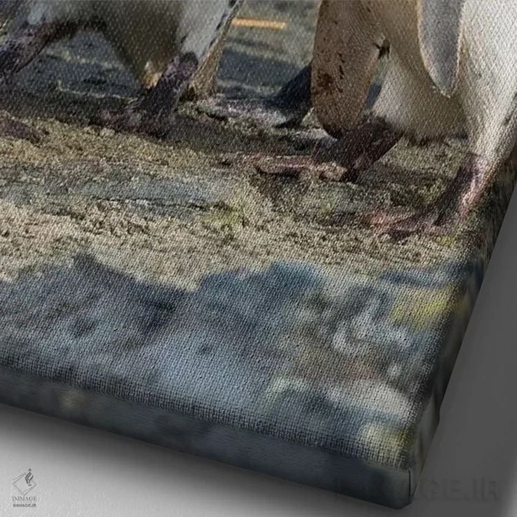 تابلو دکوراتیو Falkland Islands.,تعامل اجتماعی و رفتار گروهی پنگوئن های ما… اثر مارتین زویک - نمای نزدیک بافت بوم