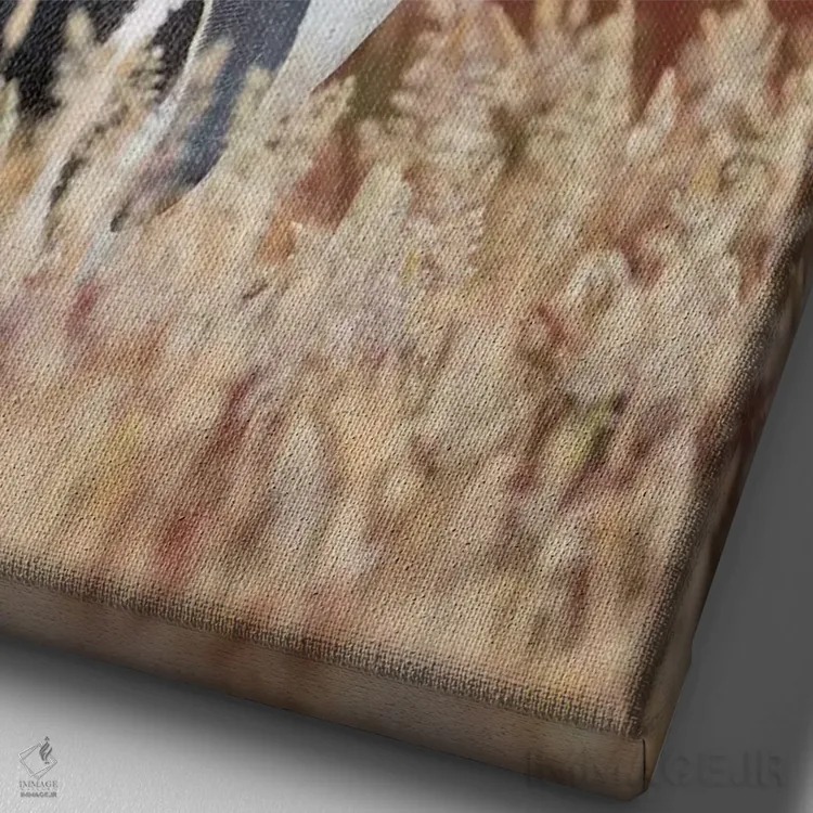 تابلو دکوراتیو Falkland Islands.,پنگوئن ماژلانی، جزایر فالکلند اثر مارتین زویک - نمای نزدیک بافت بوم