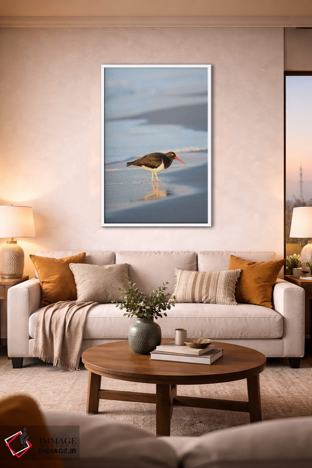 تابلو دکوراتیو Sea Lion Island, Falkland Islands.,صدف خوار ماژلانی، جزیره… اثر مارتین زویک - D1W