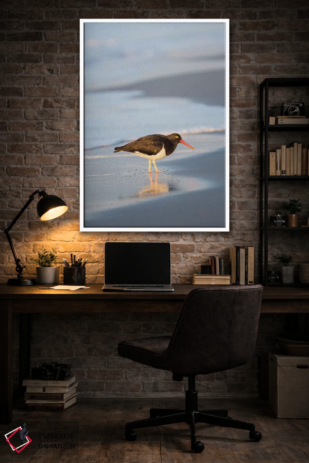 تابلو دکوراتیو Sea Lion Island, Falkland Islands.,صدف خوار ماژلانی، جزیره… اثر مارتین زویک - D3W