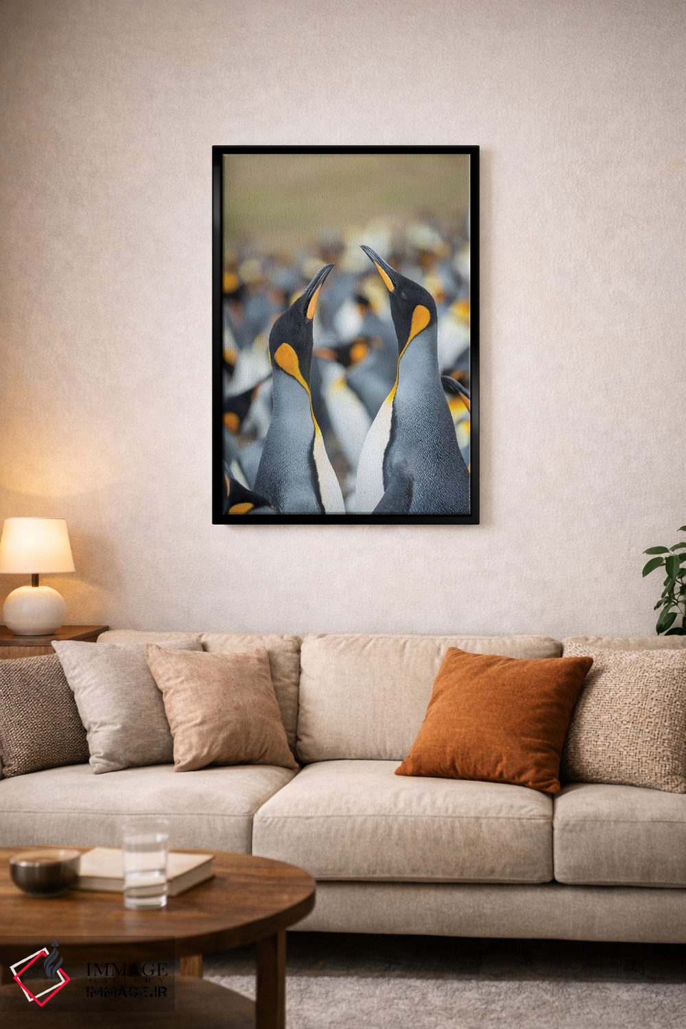 تابلو دکوراتیو Falkland Islands.,پنگوئن شاه، جزایر فالکلند اثر مارتین زویک - D4B