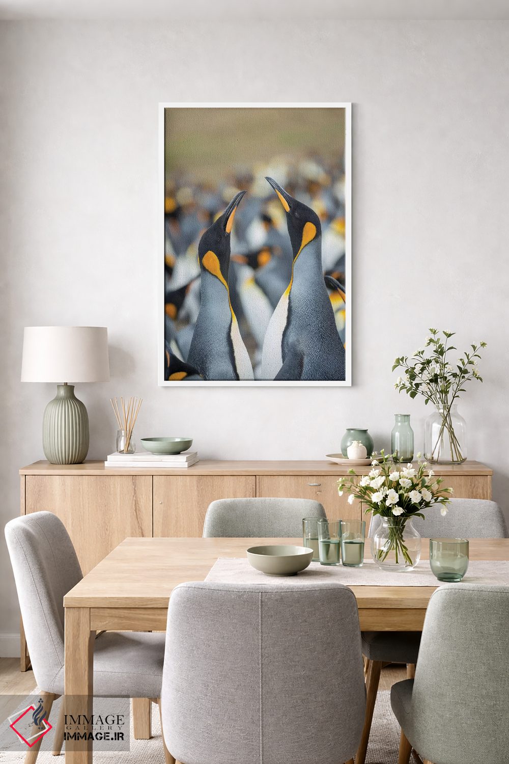 تابلو دکوراتیو Falkland Islands.,پنگوئن شاه، جزایر فالکلند اثر مارتین زویک - D6W