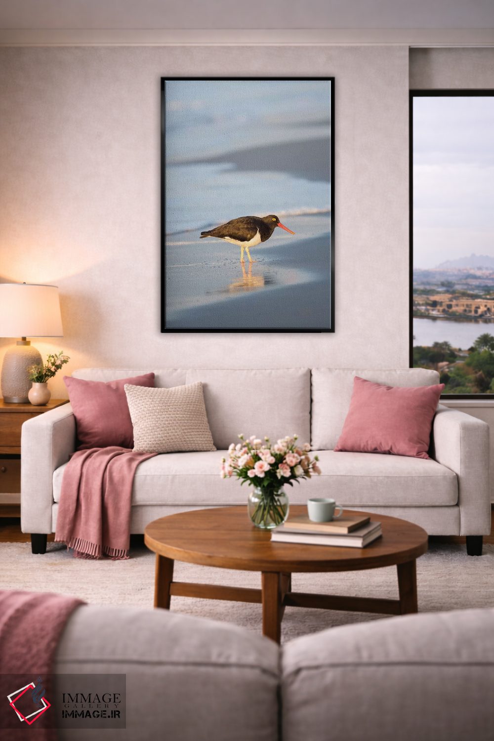 تابلو دکوراتیو Sea Lion Island, Falkland Islands.,صدف خوار ماژلانی، جزیره… اثر مارتین زویک - D5B