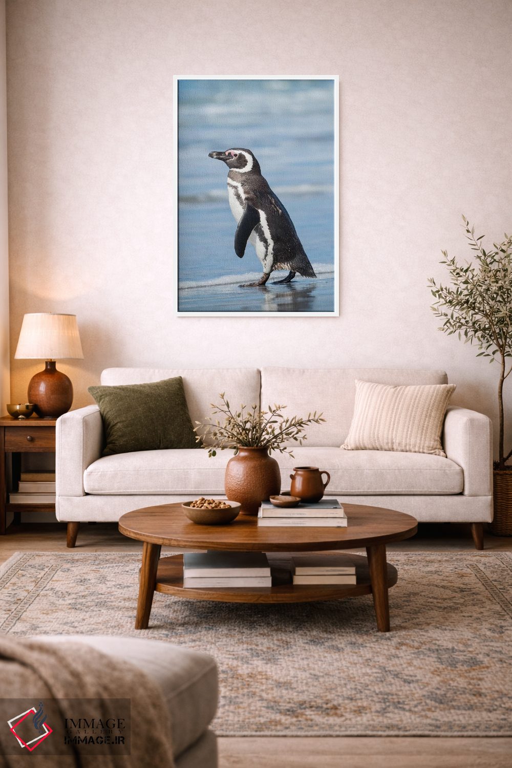 تابلو دکوراتیو Falkland Islands.,پنگوئن ماژلانی، جزایر فالکلند اثر مارتین زویک - D2W