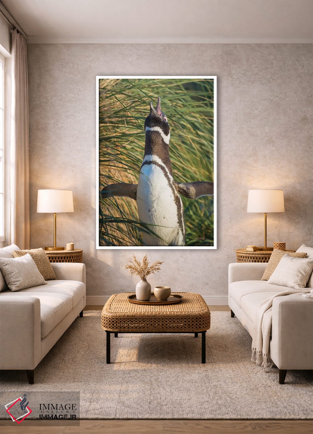 تابلو دکوراتیو Falkland Islands.,پنگوئن ماژلانی، جزایر فالکلند اثر مارتین زویک - D1W