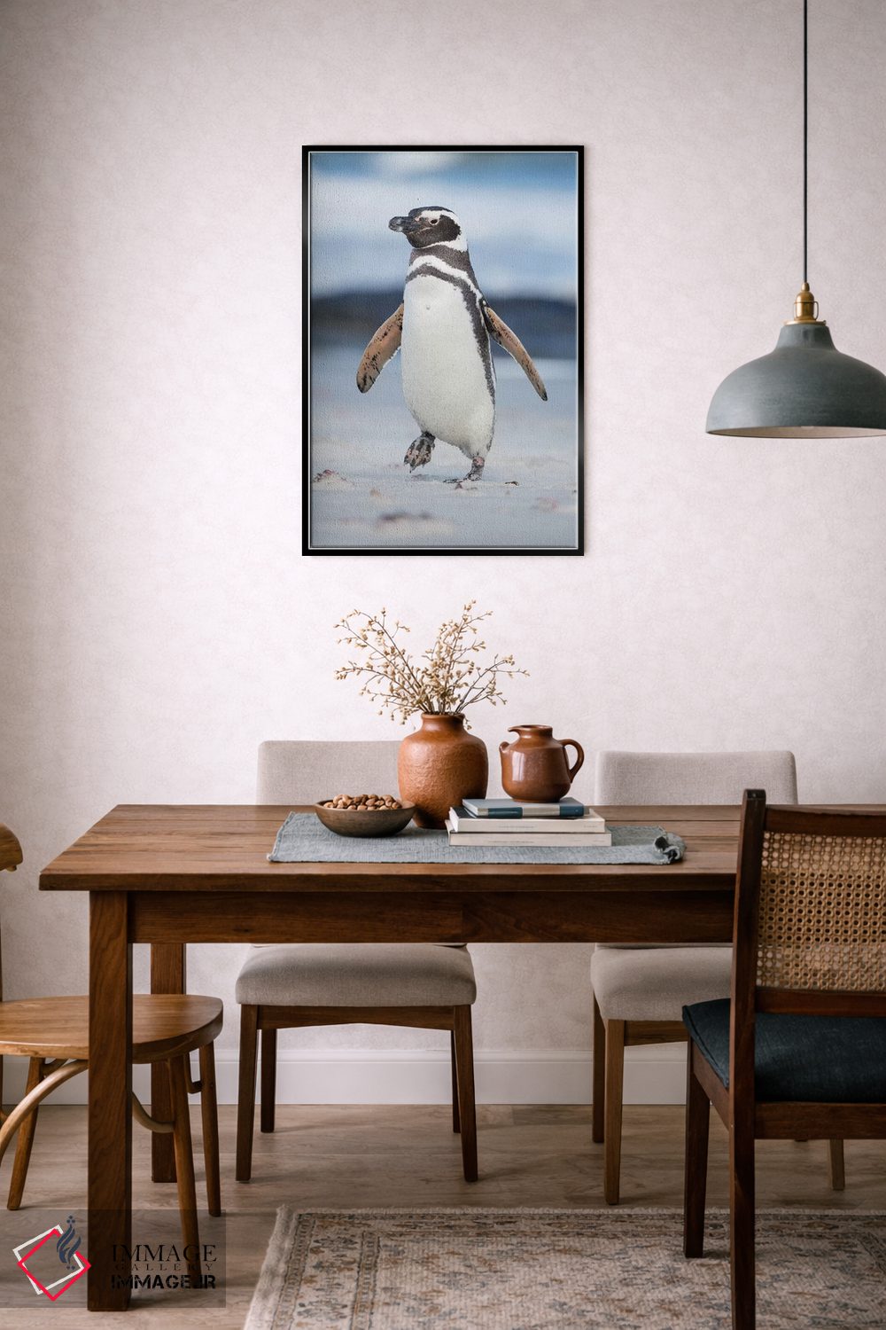 تابلو دکوراتیو Falkland Islands.,پنگوئن ماژلانی، جزایر فالکلند اثر مارتین زویک - D6B