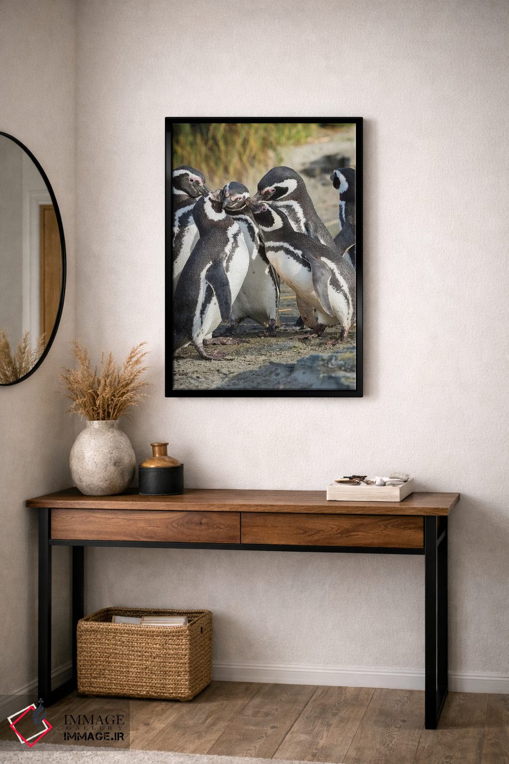 تابلو دکوراتیو Falkland Islands.,تعامل اجتماعی و رفتار گروهی پنگوئن های ما… اثر مارتین زویک - D2B