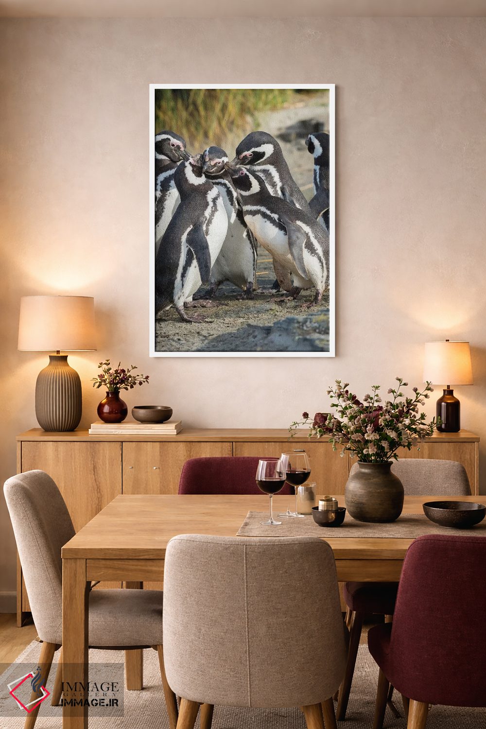 تابلو دکوراتیو Falkland Islands.,تعامل اجتماعی و رفتار گروهی پنگوئن های ما… اثر مارتین زویک - D5W