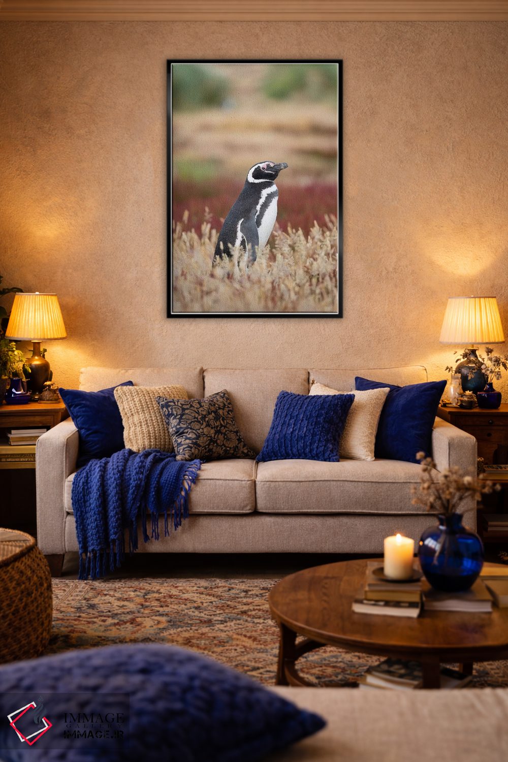 تابلو دکوراتیو Falkland Islands.,پنگوئن ماژلانی، جزایر فالکلند اثر مارتین زویک - D6B