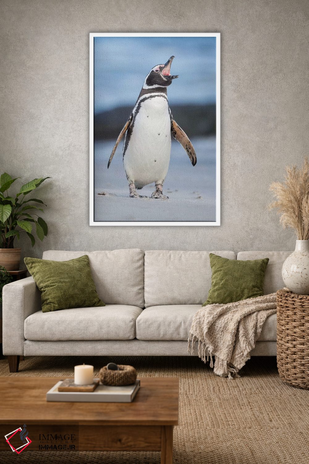 تابلو دکوراتیو Falkland Islands.,پنگوئن ماژلانی، جزایر فالکلند اثر مارتین زویک - D1W