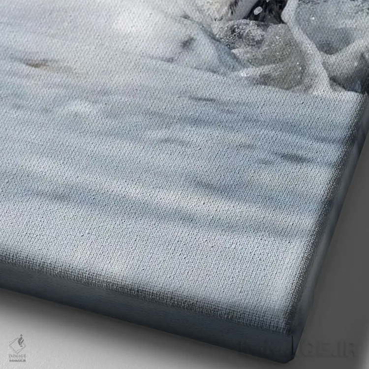 تابلو دکوراتیو Falkland Islands.,پنگوئن ماژلانی، جزایر فالکلند اثر مارتین زویک - نمای نزدیک بافت بوم