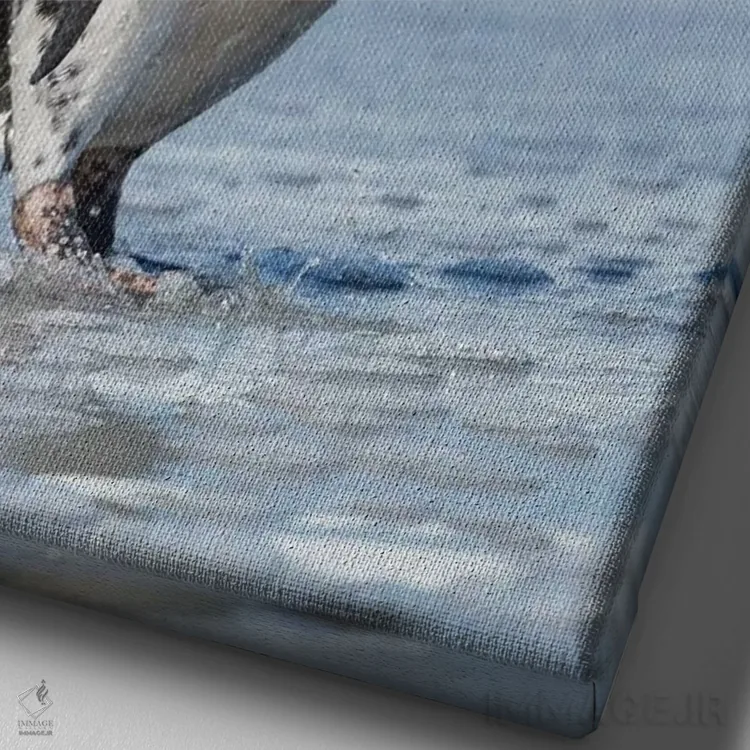 تابلو دکوراتیو Falkland Islands.,پنگوئن ماژلانی، جزایر فالکلند اثر مارتین زویک - نمای نزدیک بافت بوم