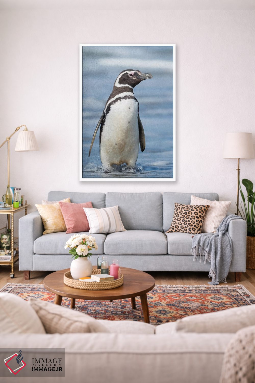 تابلو دکوراتیو Falkland Islands.,پنگوئن ماژلانی، جزایر فالکلند اثر مارتین زویک - D1W