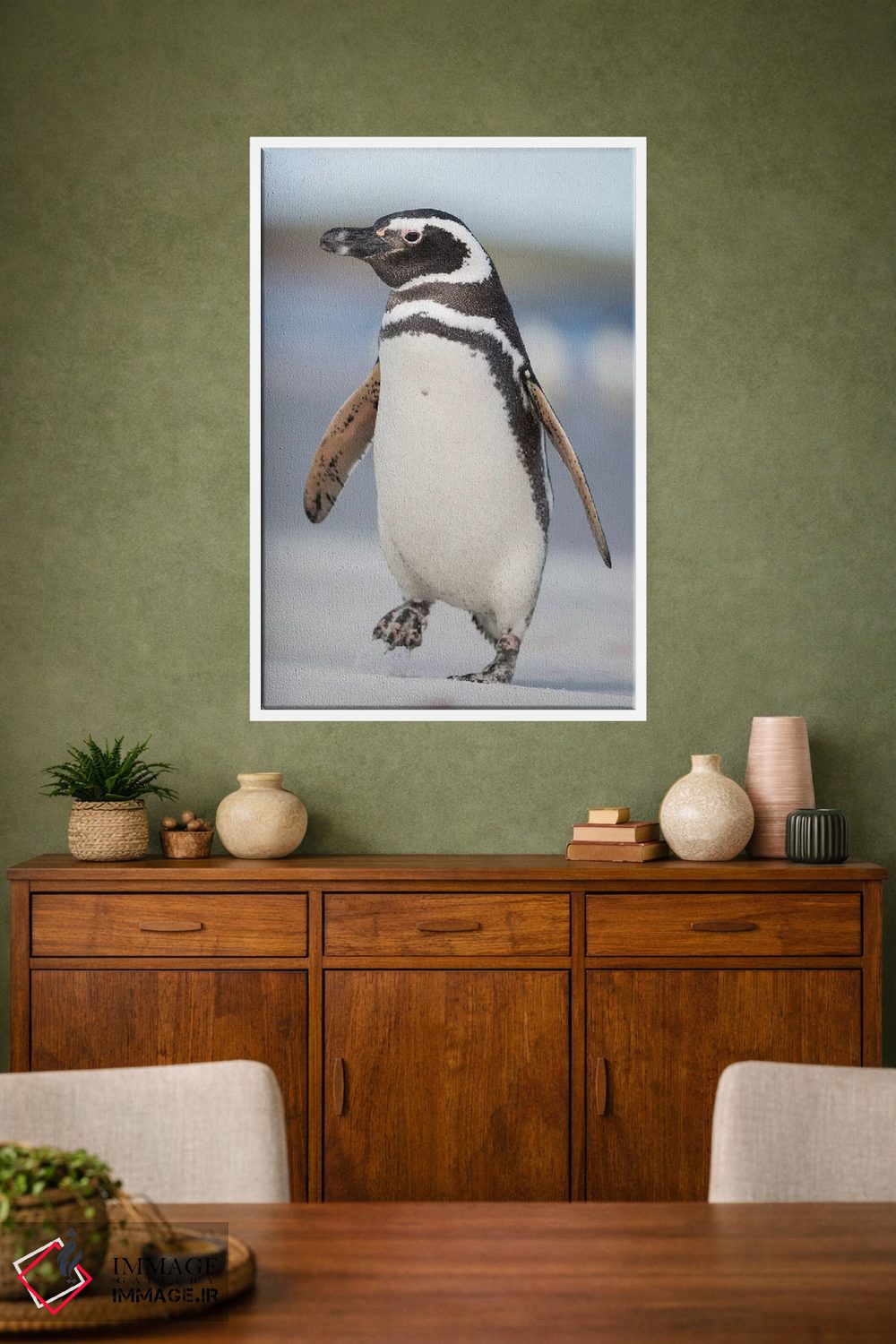 تابلو دکوراتیو Falkland Islands.,پنگوئن ماژلانی، جزایر فالکلند اثر مارتین زویک - D1W