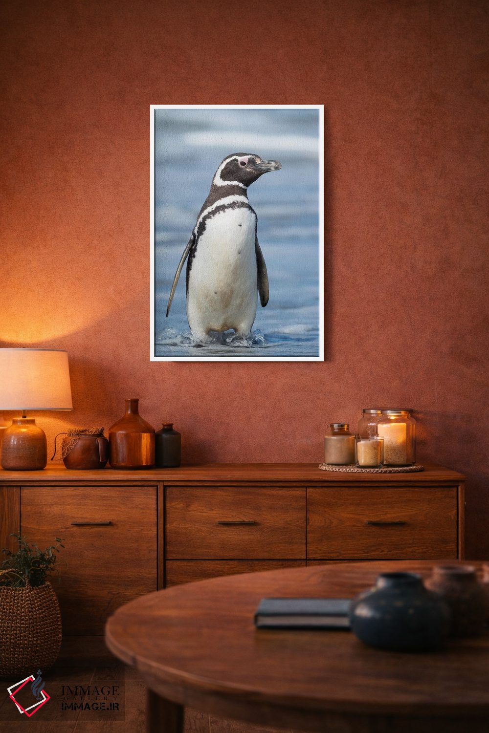 تابلو دکوراتیو Falkland Islands.,پنگوئن ماژلانی، جزایر فالکلند اثر مارتین زویک - D4W