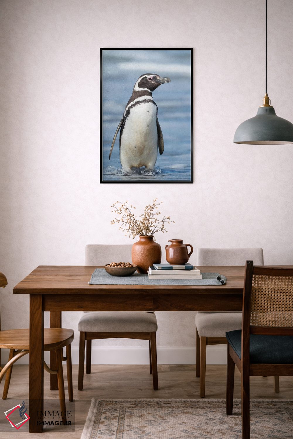 تابلو دکوراتیو Falkland Islands.,پنگوئن ماژلانی، جزایر فالکلند اثر مارتین زویک - D6B
