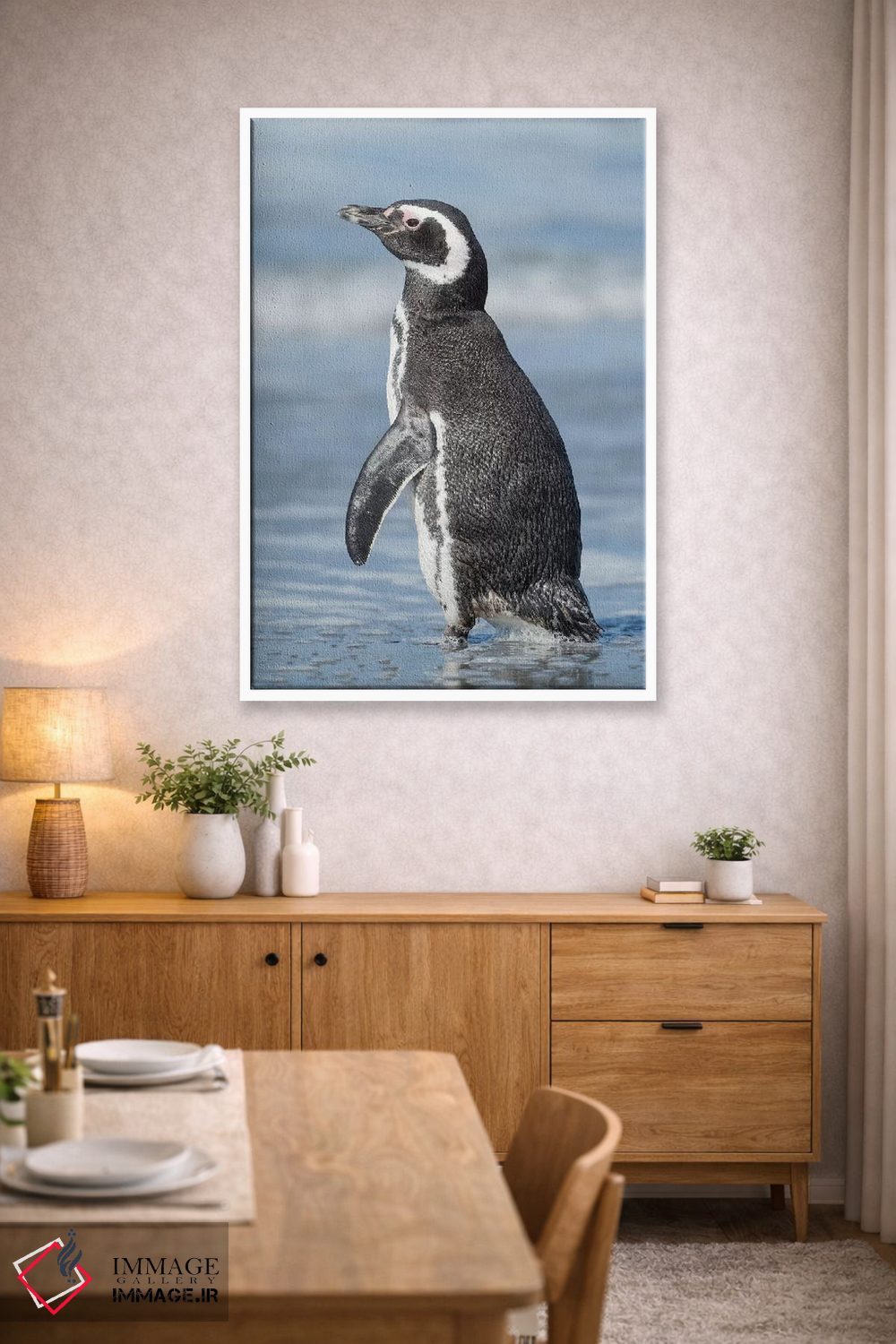 تابلو دکوراتیو Falkland Islands.,پنگوئن ماژلانی، جزایر فالکلند اثر مارتین زویک - D4W