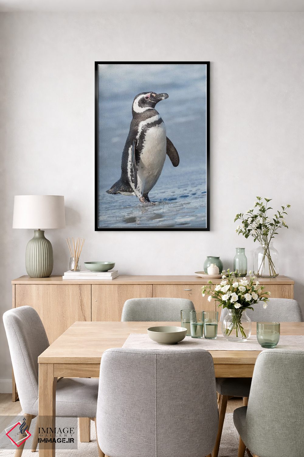 تابلو دکوراتیو Falkland Islands.,پنگوئن ماژلانی، جزایر فالکلند اثر مارتین زویک - D6B